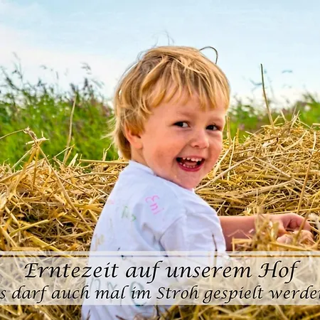 Feinheit - Gulfhof Nahe Greetsiel Mit Sauna, Garten & 3 Schlafzimmern