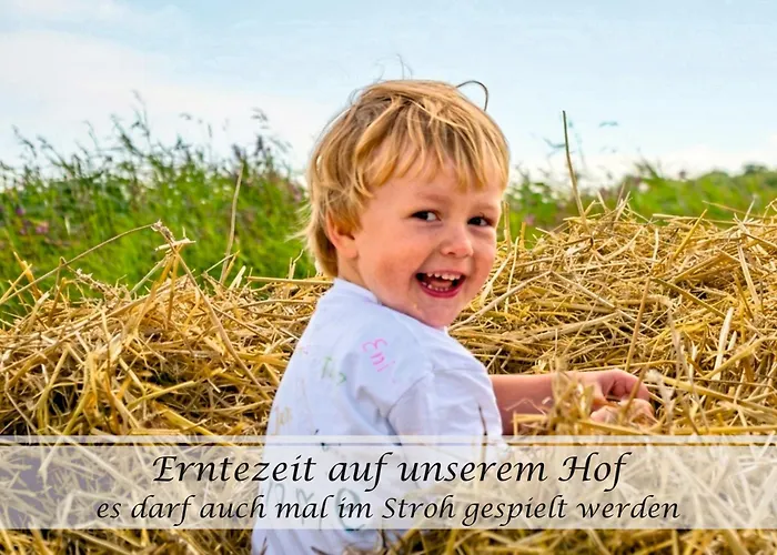 Feinheit - Gulfhof Nahe Greetsiel Mit Sauna, Garten & 3 Schlafzimmern